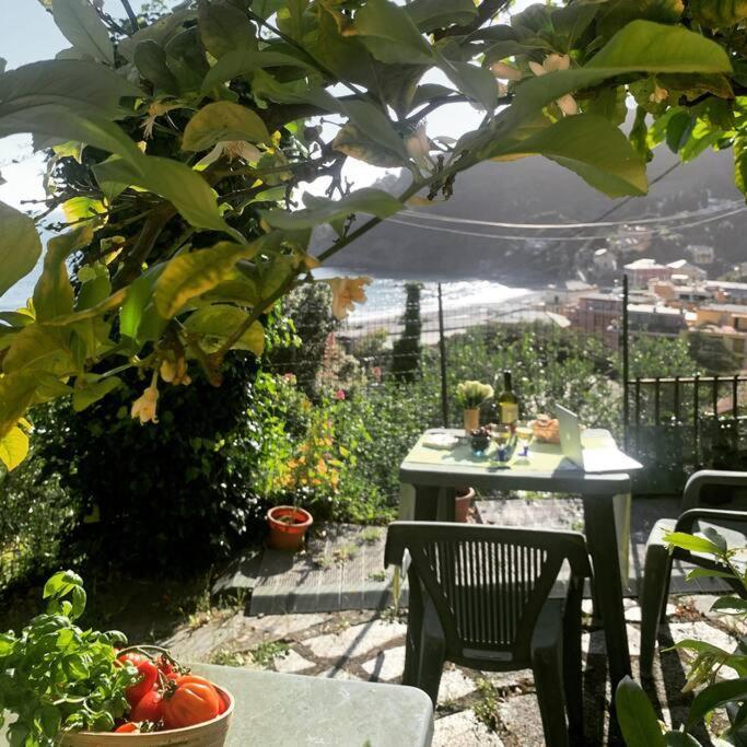 شقة Cozy Beach House With Nice Garden, Basic Feel بوناسولا المظهر الخارجي الصورة